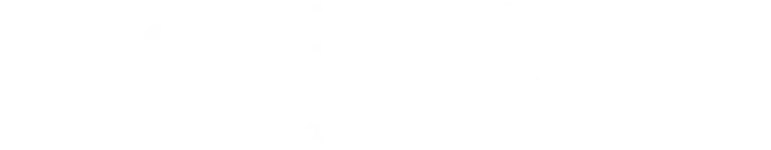 logo TMD NEW